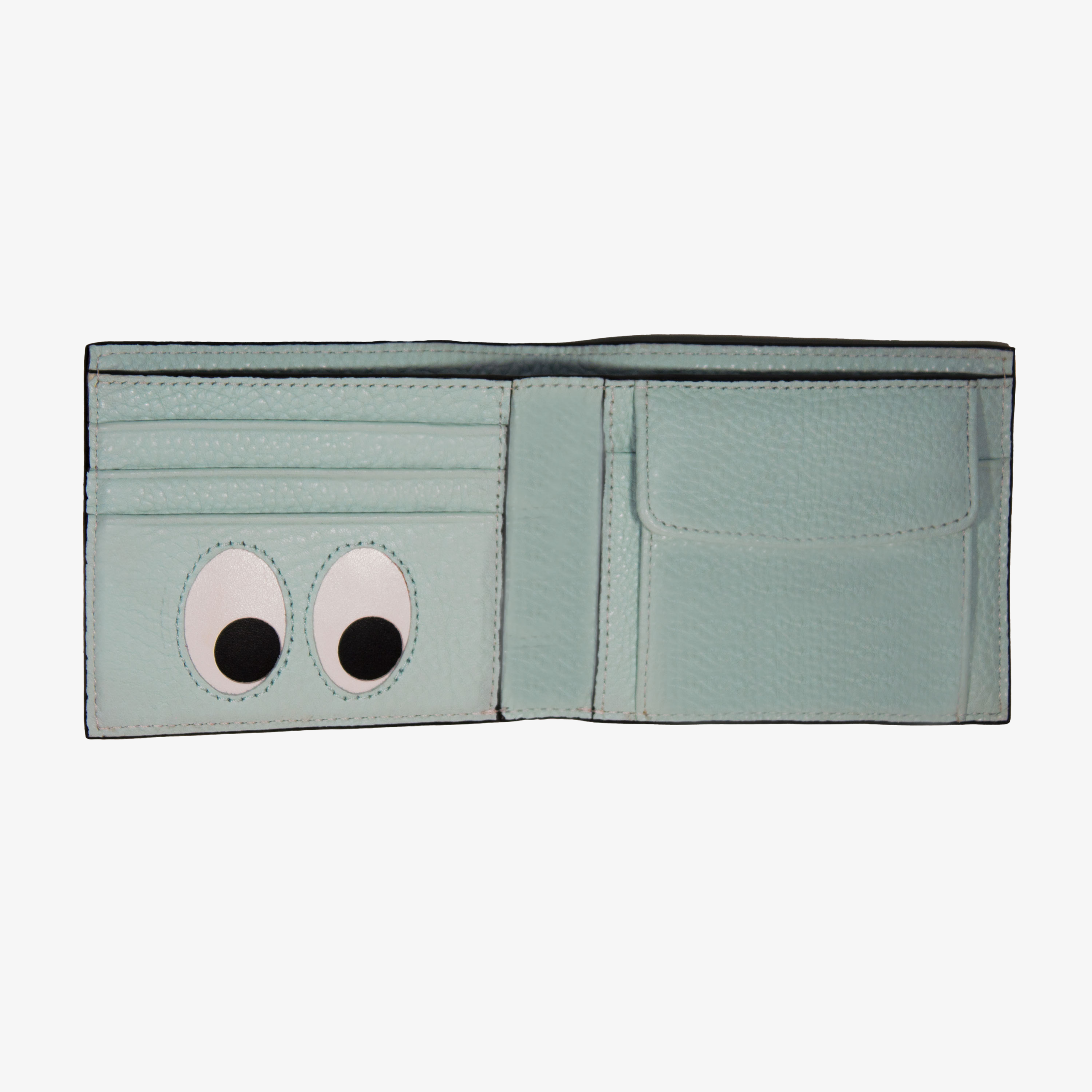 Sneaky Wallet : Sky - Image 2